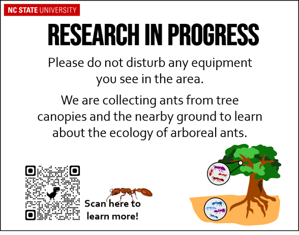 Sign reading Research in Progress. Please do not disturb any equipment you see in the area. We are collecting ants from tree canopies and the nearby ground to learn about the ecology of arboreal ants. Includes picture of Pseudomyrmex ant and stylized tree with ants in canopy and on ground.
